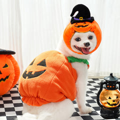 Halloween Pet Costume