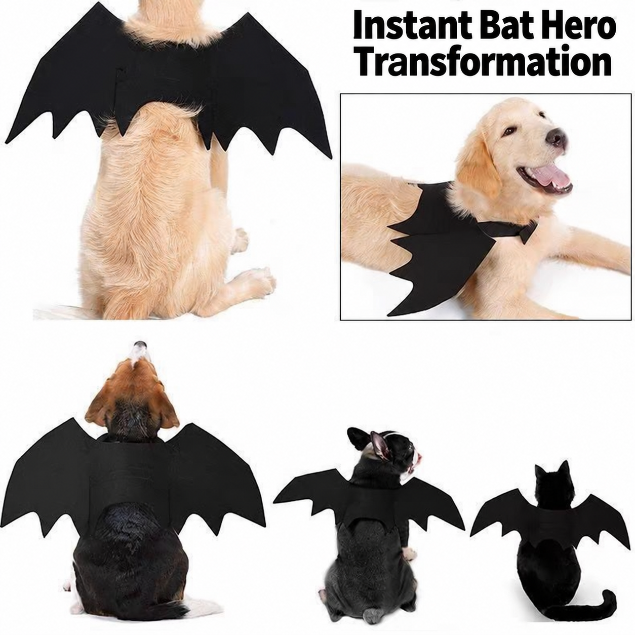 Pet Bat Wings Costume
