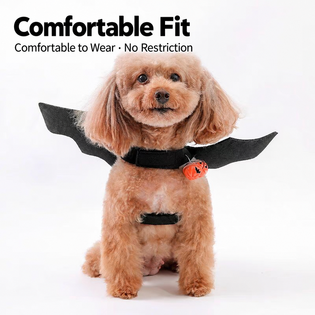 Pet Bat Wings Costume