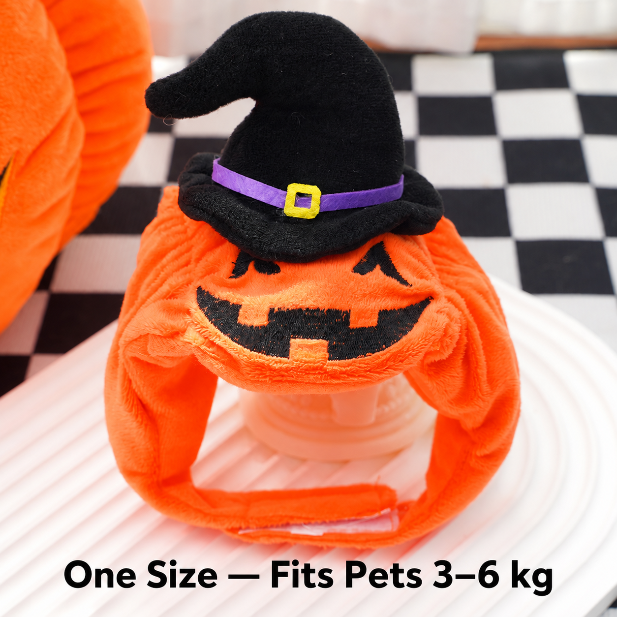 Halloween Pet Costume